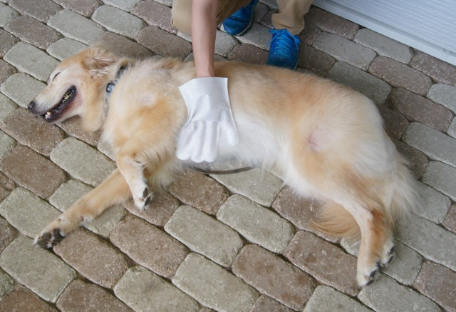 ウェット手袋なでなで 10枚入 アロマティックグリーンの香り